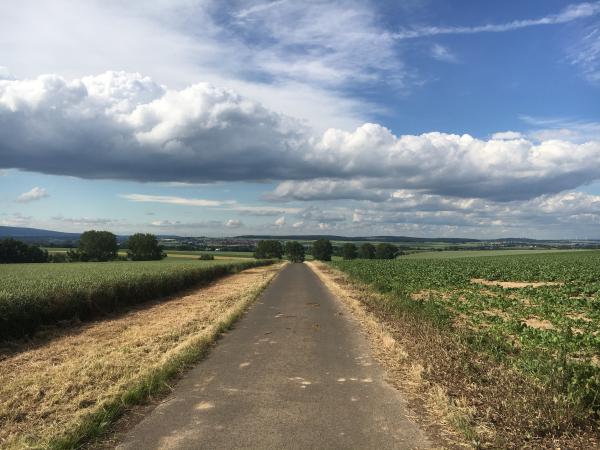 Weg, Blick nach Niederdorffelden