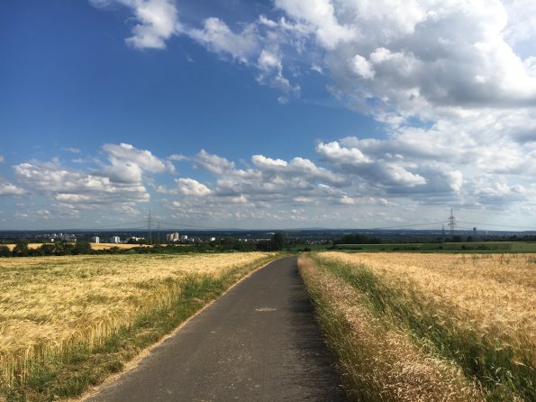 Blick nach Süden in die Mainebene