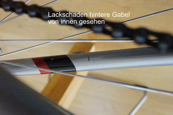 Lackschaden-hintere-linke-Gabel-Innen